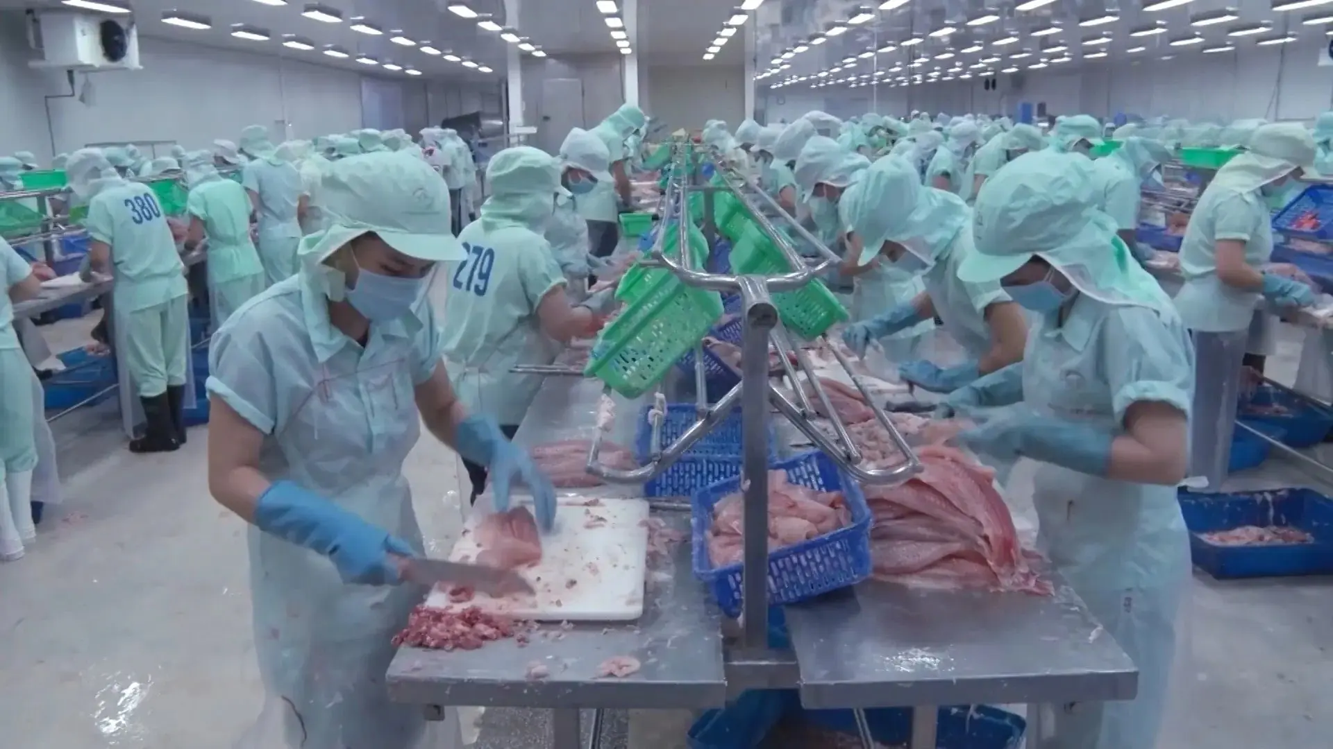 5 năm EVFTA - xuất khẩu tăng trưởng vượt bậc | Thủ đô và thế giới | 27/09/2025